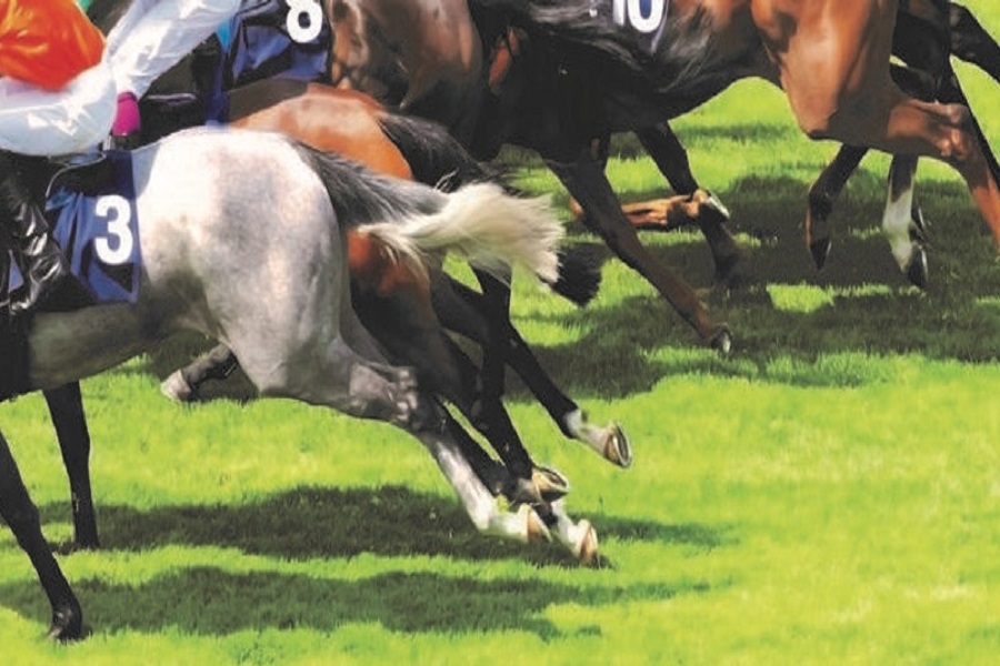 Programme announced for the Horseracing Industry Conference Image Programme announced for the Horseracing Industry Conference Image